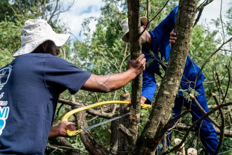 Consumers are confused about the impact of paper on forests