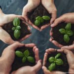 ALexforbes strengthens investment capabilities