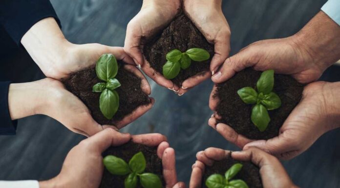 ALexforbes strengthens investment capabilities