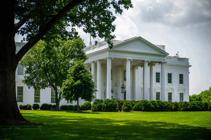 White house White house