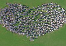 Why starting at the end is so important