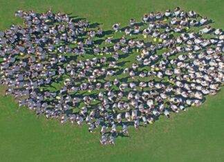 Why starting at the end is so important