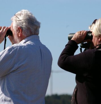 Reimagining retirement