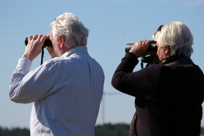 Retirement - Bird Watching