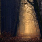 Unpacking absolute return: Is this the most misunderstood strategy in today’s market?