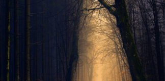 Unpacking absolute return: Is this the most misunderstood strategy in today’s market?