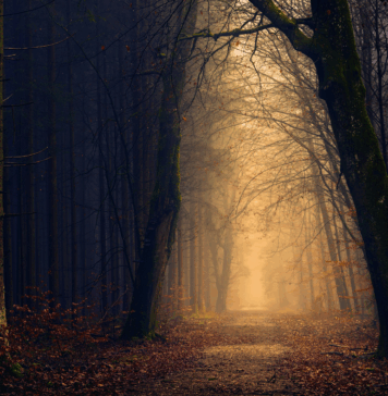 Unpacking absolute return: Is this the most misunderstood strategy in today’s market?