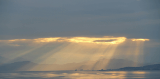 Investing’s holy grail?