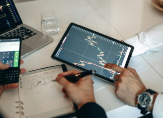 How important is investment performance when assessing a DFM?