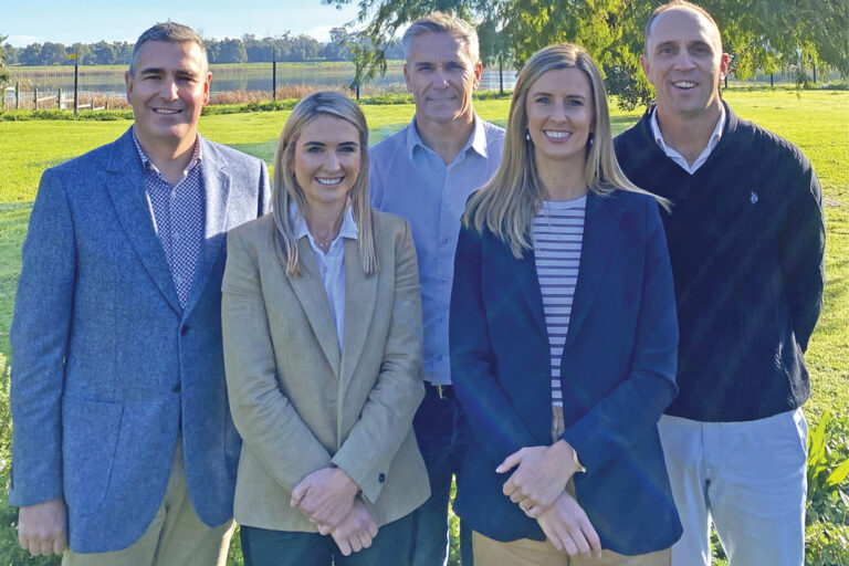 Seeing the wood for the trees